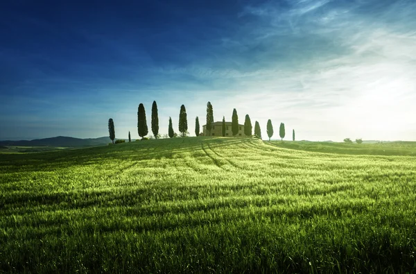 Tuscan görünümlerinde klasik: Bahar günbatımı zamanı, Pienza, İtalya