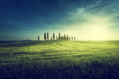 Tuscan görünümlerinde klasik: Bahar günbatımı zamanı, Pienza, İtalya