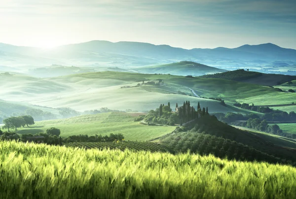 Manhã de primavera na Toscana, Itália — Fotografia de Stock