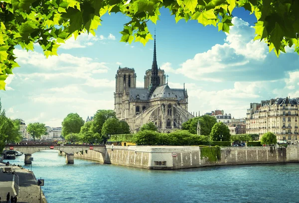フランスパリのノートルダム大聖堂 — ストック写真