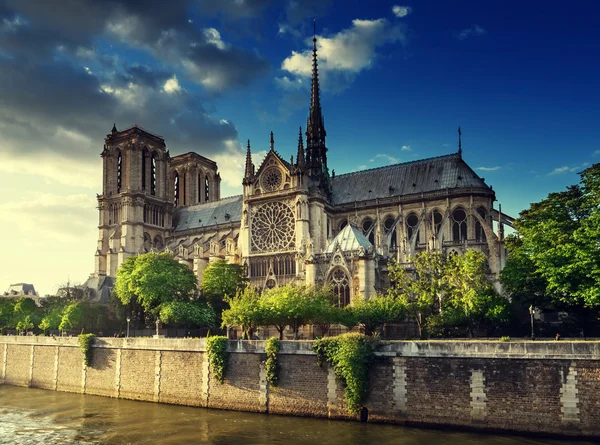 Notre Dame de Paris, Francie — Stock fotografie