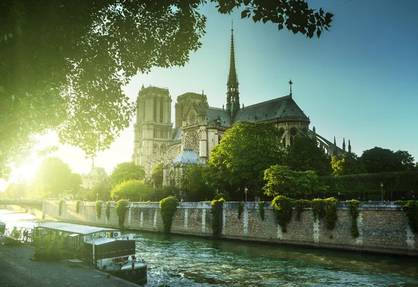 Notre dame de paris, frankrijk — Stockfoto