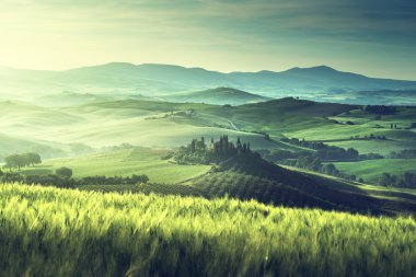 Tuscany, İtalya 'da bahar sabahı
