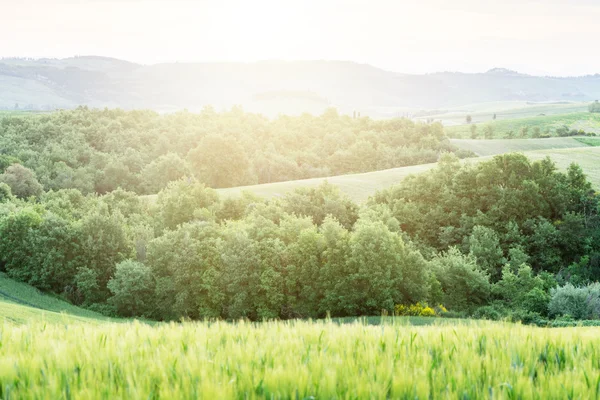 Tuscany sunset, Itália — Fotografia de Stock