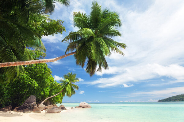 beach on Mahe island, Seychelles