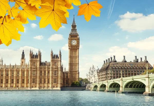 秋天的落叶和大笨钟，伦敦 — 图库照片