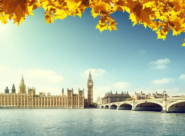 Folhas de outono e Big Ben, Londres — Fotografia de Stock