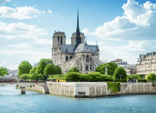 Notre dame de paris, Frankrike — Stockfoto