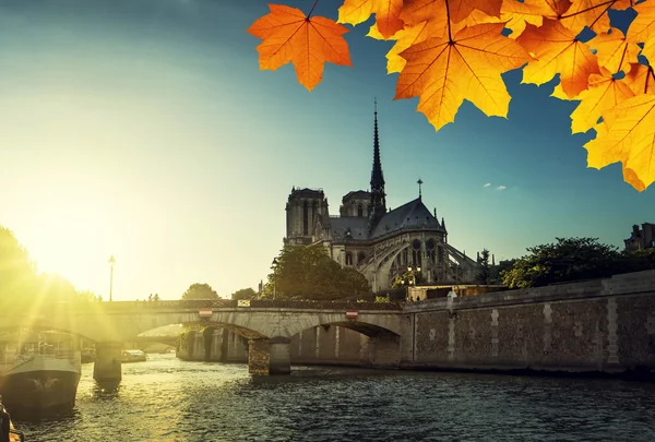 巴黎圣母院和秋天叶子法国 — 图库照片