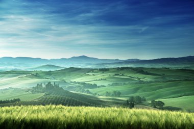 Tuscany, İtalya 'da bahar sabahı