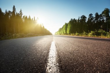 Yaz ormanlarında yol
