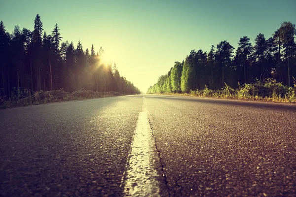 Route dans la forêt d'été — Photo