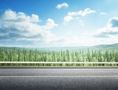 Yaz ormanlarında yol