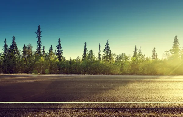 Strada asfaltata nella foresta — Foto Stock
