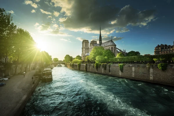 Notre dame de paris, Frankreich — Stockfoto