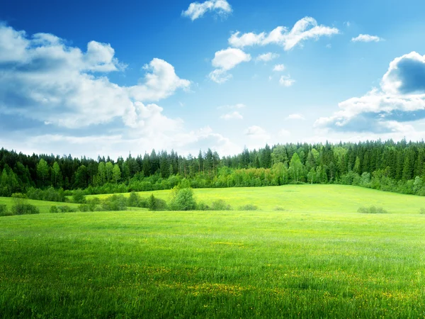 Campo de grama e céu perfeito — Fotografia de Stock