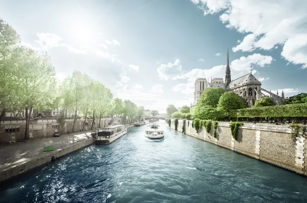 セーヌ川とノートルダム大聖堂,パリ,フランス — ストック写真