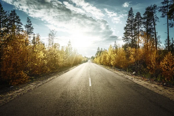 Estrada em montanhas de outono — Fotografia de Stock