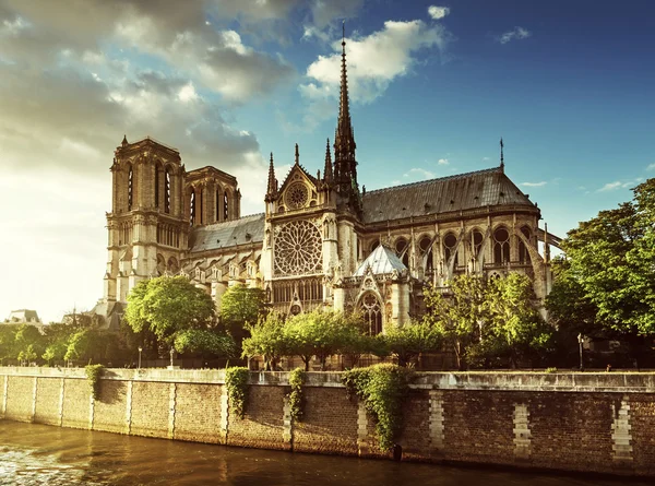 Notre dame de paris, France — стоковое фото