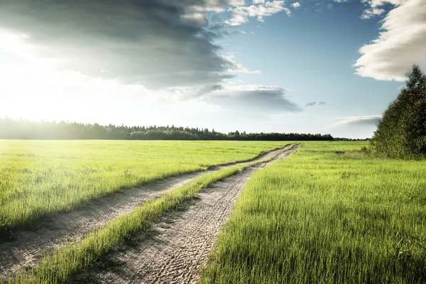 Camino de tierra y campo de hierba de primavera —  Fotos de Stock