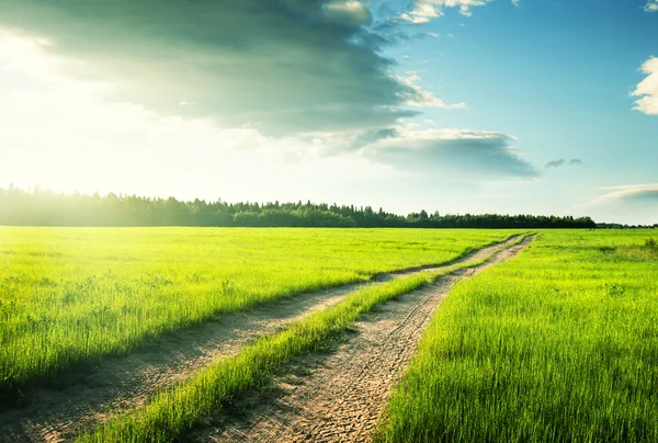 Ground road and field of spring grass Royalty Free Stock Images