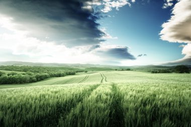 Toskana günbatımı, İtalya