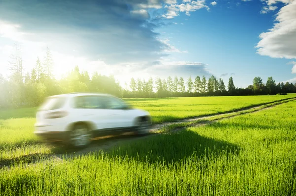 Campo de mola e carro azul na estrada de terra — Fotografia de Stock