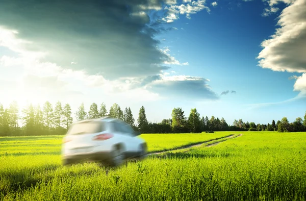 Spring field and blured car on ground road — Stock Photo, Image