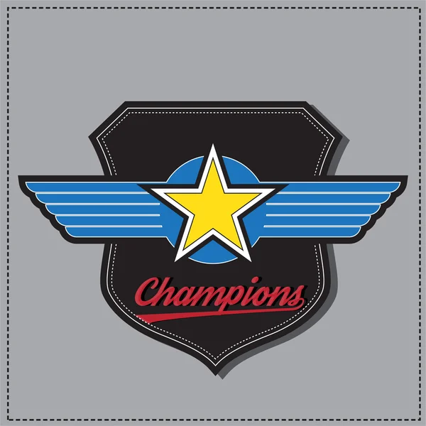 New york Brooklyn College Champions Division Team Sport Logo — Stockvektor