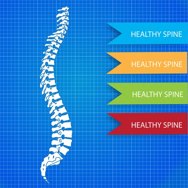 メディック背骨の青写真の人間 — ストックベクタ