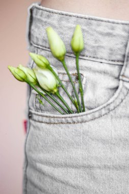 Bej bir arka planda bir kızın kot cebinde beyaz çiçekler