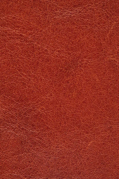 Textura de cuero marrón para fondo —  Fotos de Stock