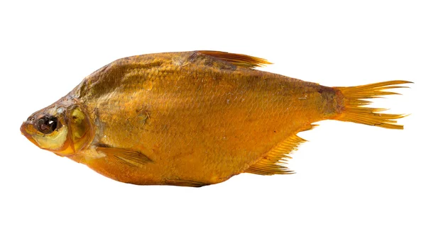 Суха риба ізольована на білому тлі — стокове фото