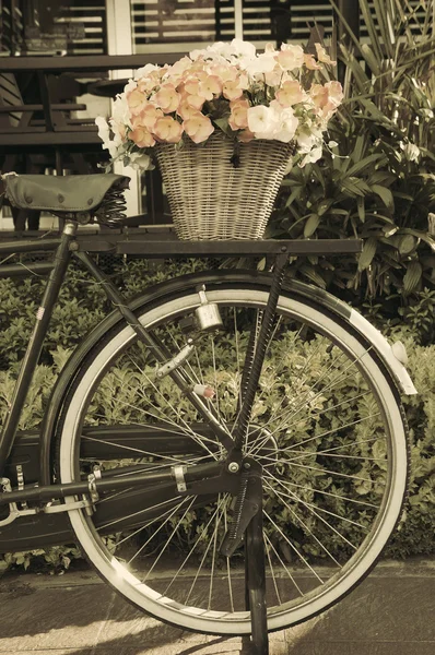 Vieja bicicleta Imagen de archivo