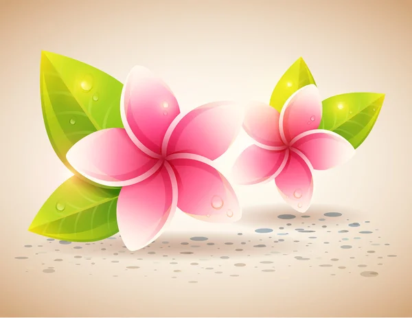 Carte paisible et relaxante avec des fleurs exotiques spa — Image vectorielle