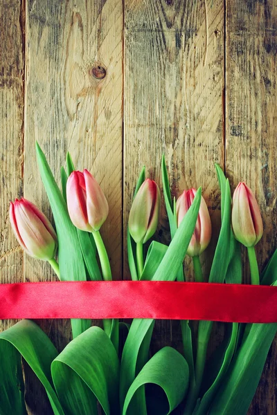 Boeket verse tulpen met rood lint — Stockfoto