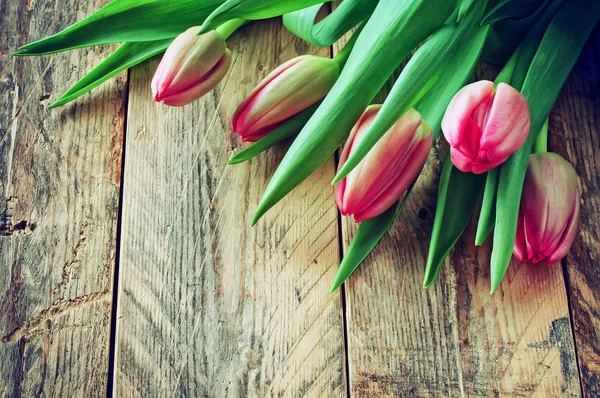 Kytice čerstvých červených tulipánů — Stock fotografie