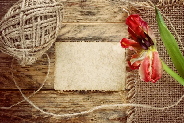 Tulipa seca na mesa de madeira — Fotografia de Stock