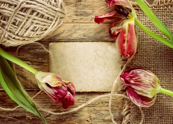 Three dried tulips on a wooden table — Stock Photo, Image