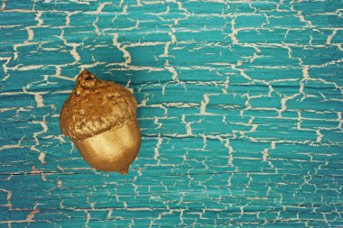 golden acorn on old plank clipart