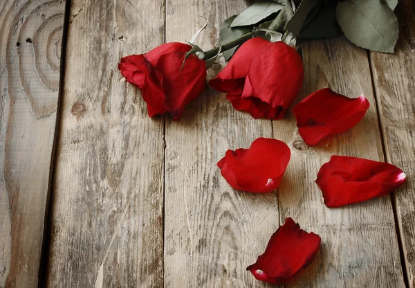 Zwei haben rote Rosen verwelkt — Stockfoto