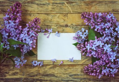 buket leylak şube ve boş tebrik kartı