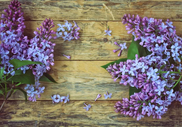 Bouquet de branches de lilas — Photo