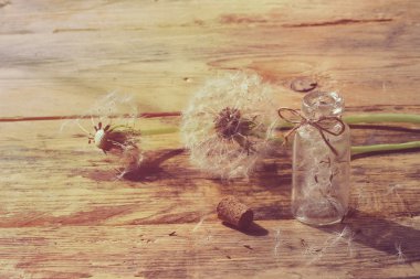 summer dandelion on wooden table clipart