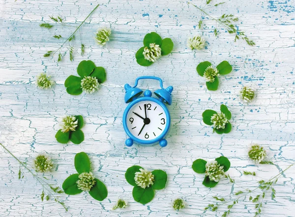 Blue retro alarm clock surrounded clover flowers — Stock Photo, Image