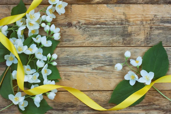 Takken delicate geurig jasmijn en gele satijnen lint — Stockfoto