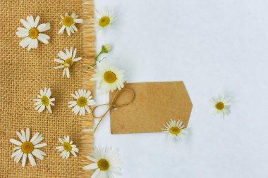 arka plan ile çiçek papatya, kağıt etiket