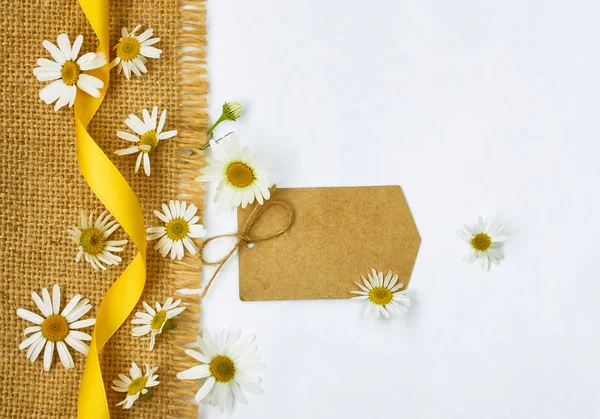 Witte achtergrond met bloemen kamille en papier tag — Stockfoto