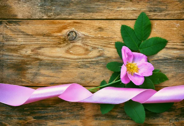 Flor de rosa mosqueta sobre mesa de madera — Foto de Stock