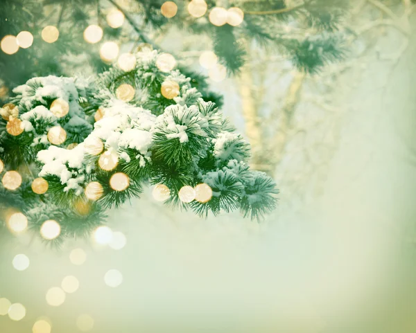 Tarjeta de Navidad, ramas de abeto en la nieve —  Fotos de Stock